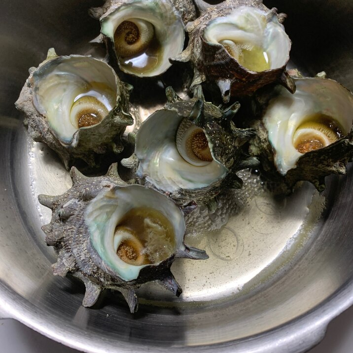 簡単に身が取れる方法 サザエの蒸し煮 レシピ 作り方 By けけり 楽天レシピ 簡単に身が取れる方法 サザエの蒸し煮 レシピ 作り方 By けけり 楽天レシピ